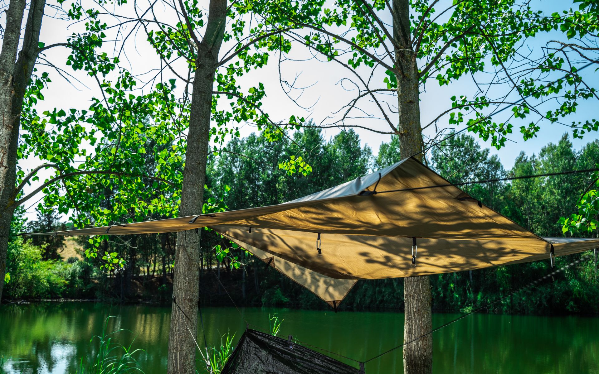 Wild Tarp Detail