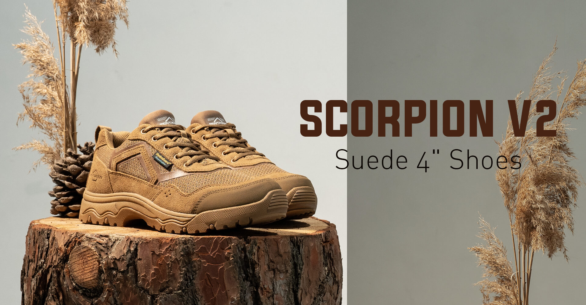 Scorpion V2 Suede Shoes